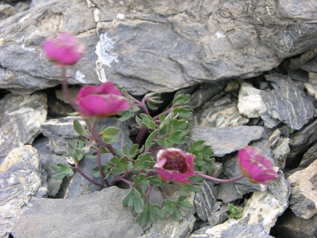 dscn1552.jpg