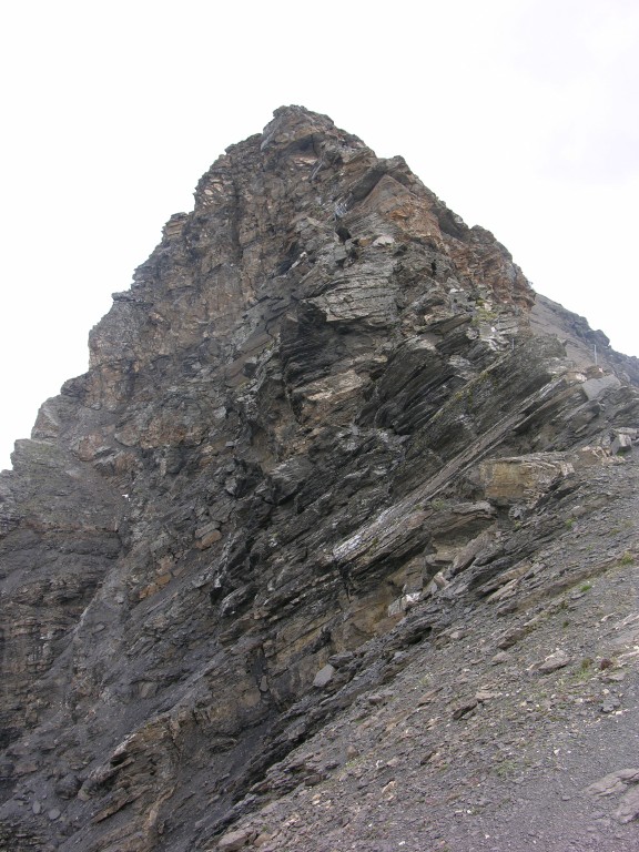 dscn1554.jpg
