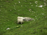 dscn1525.jpg