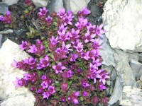 dscn1541.jpg