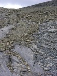 dscn1544.jpg