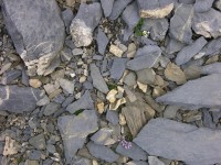 dscn1545.jpg