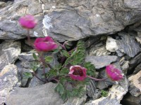 dscn1552.jpg