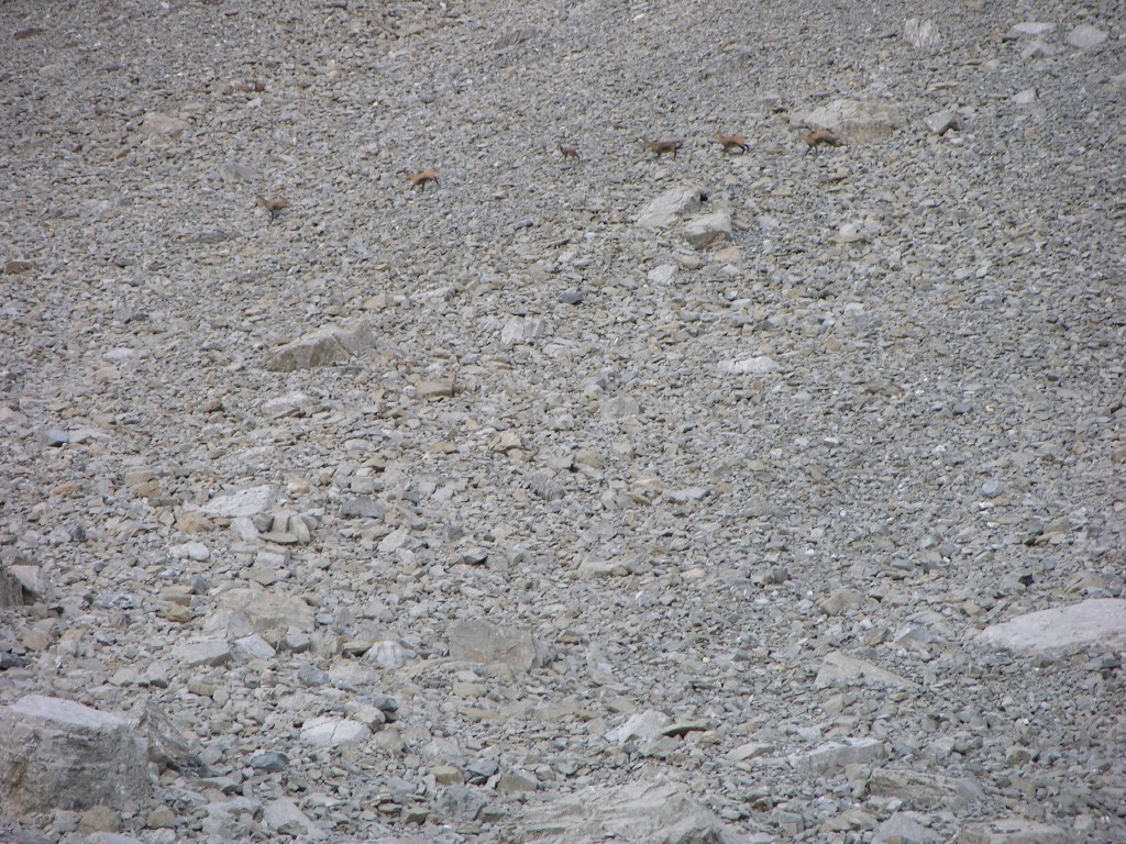 dscn1640.jpg