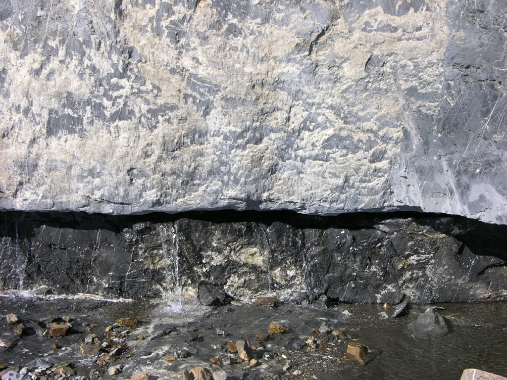 dscn1662.jpg