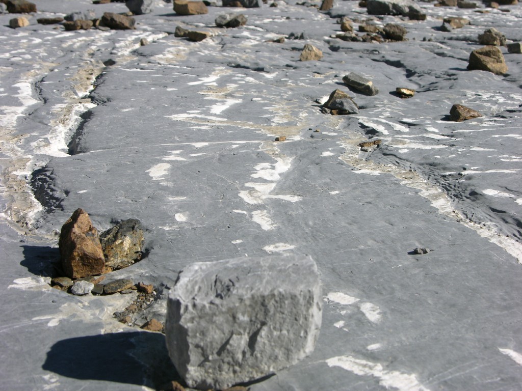 dscn1667.jpg