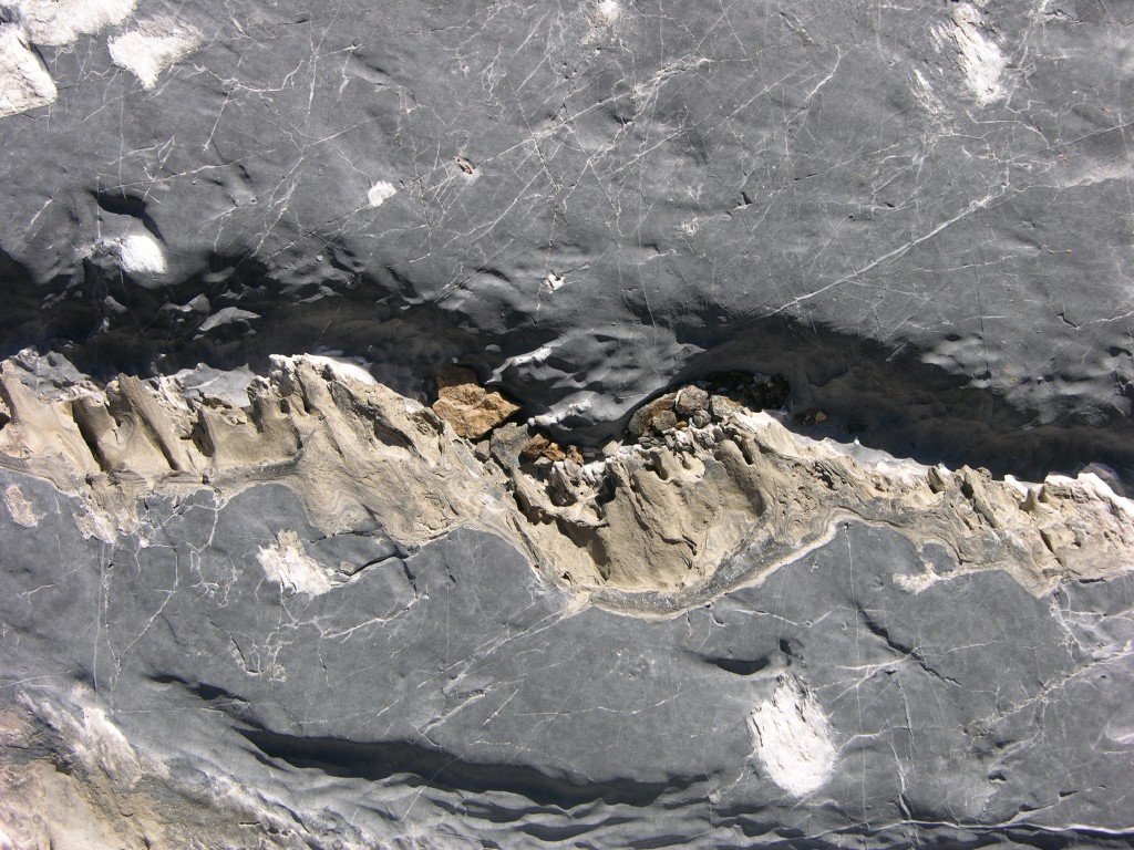 dscn1668.jpg