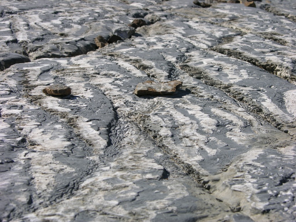 dscn1669.jpg