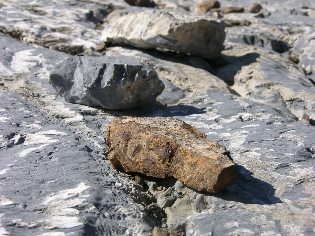 dscn1670.jpg