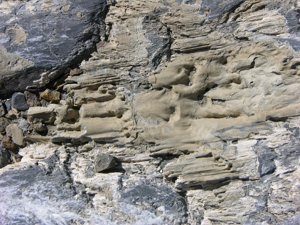 dscn1671.jpg