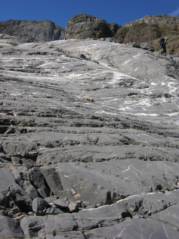 dscn1686.jpg