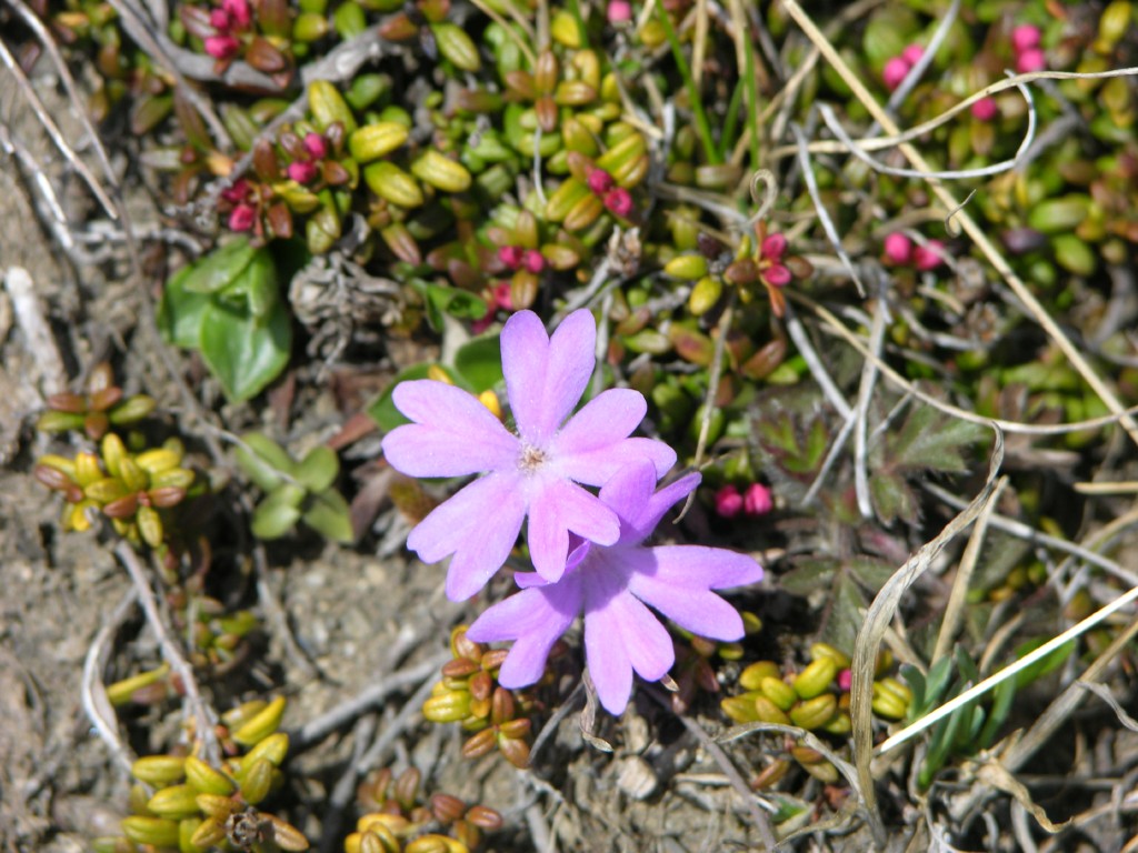 dscn1340.jpg