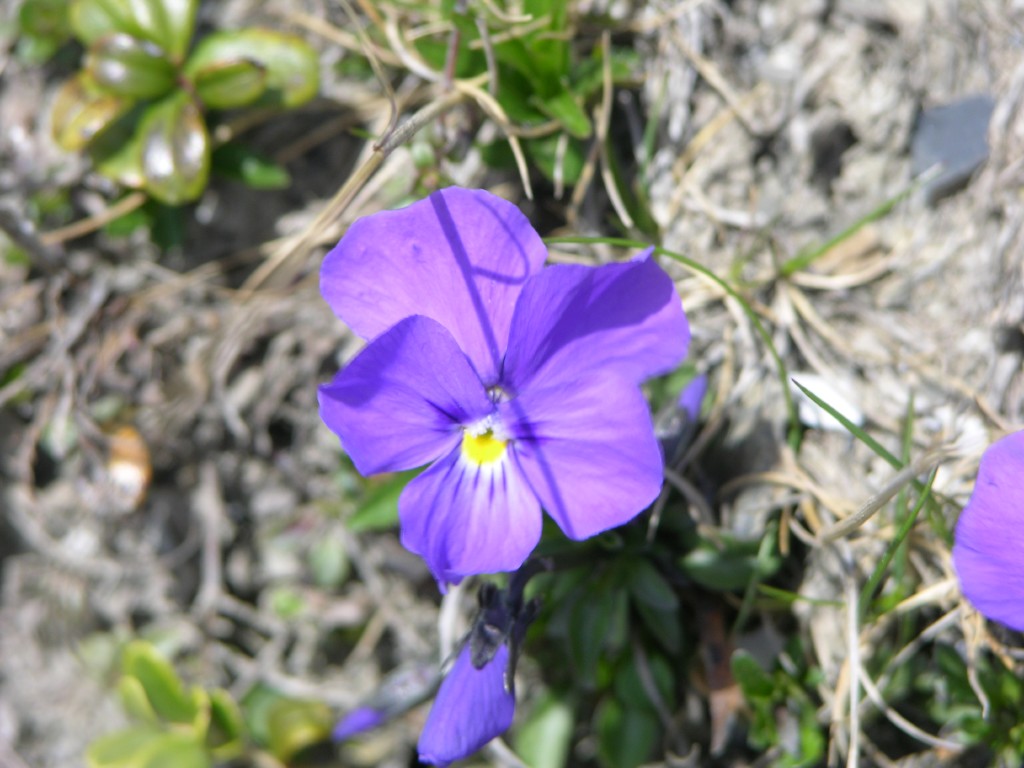 dscn1342.jpg