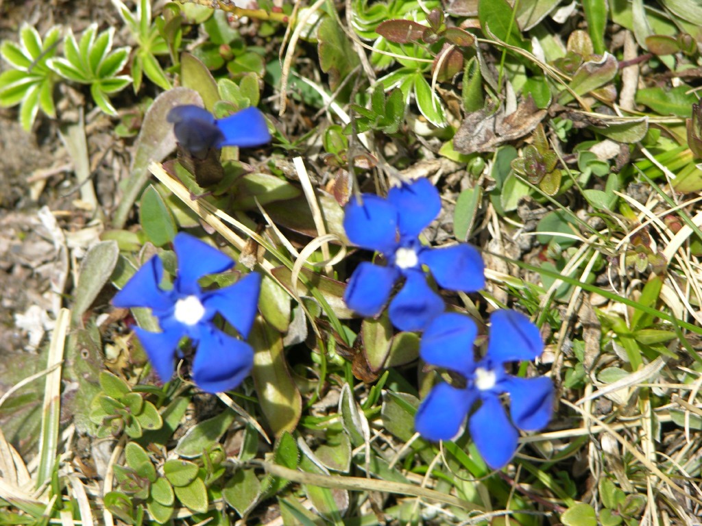 dscn1343.jpg