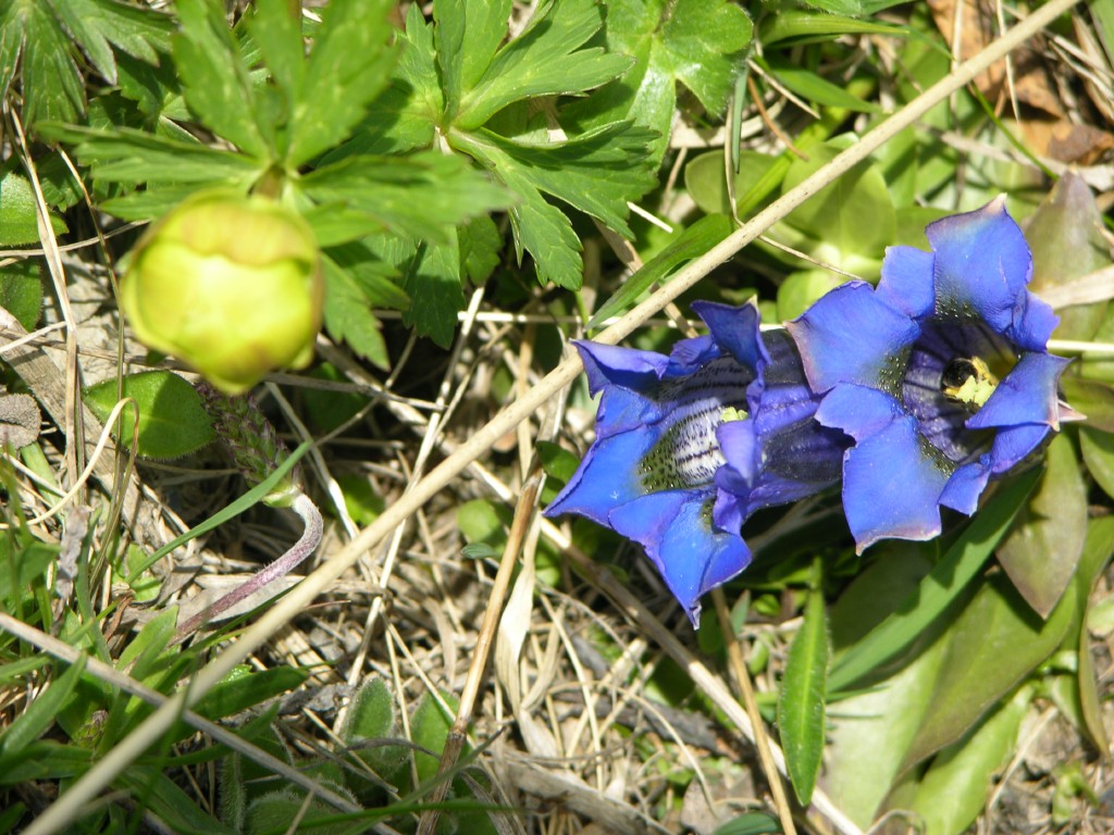 dscn1345.jpg