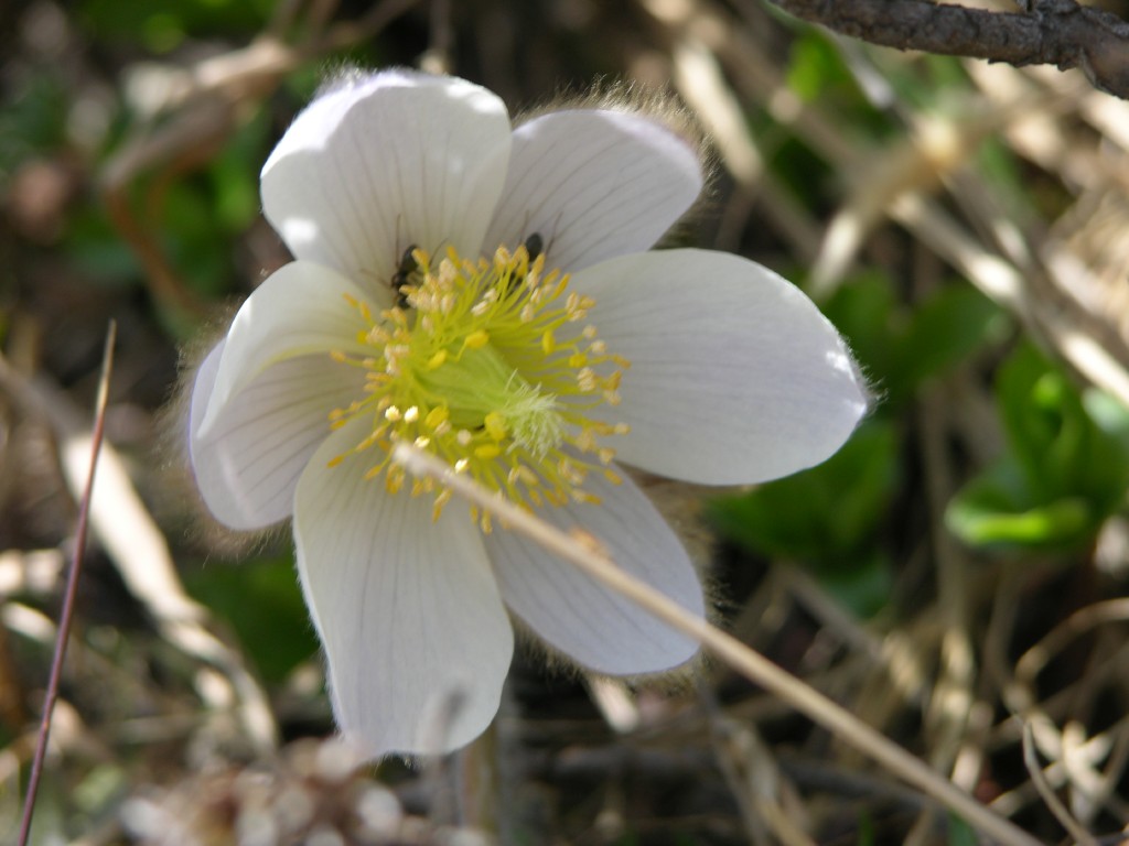 dscn1347.jpg