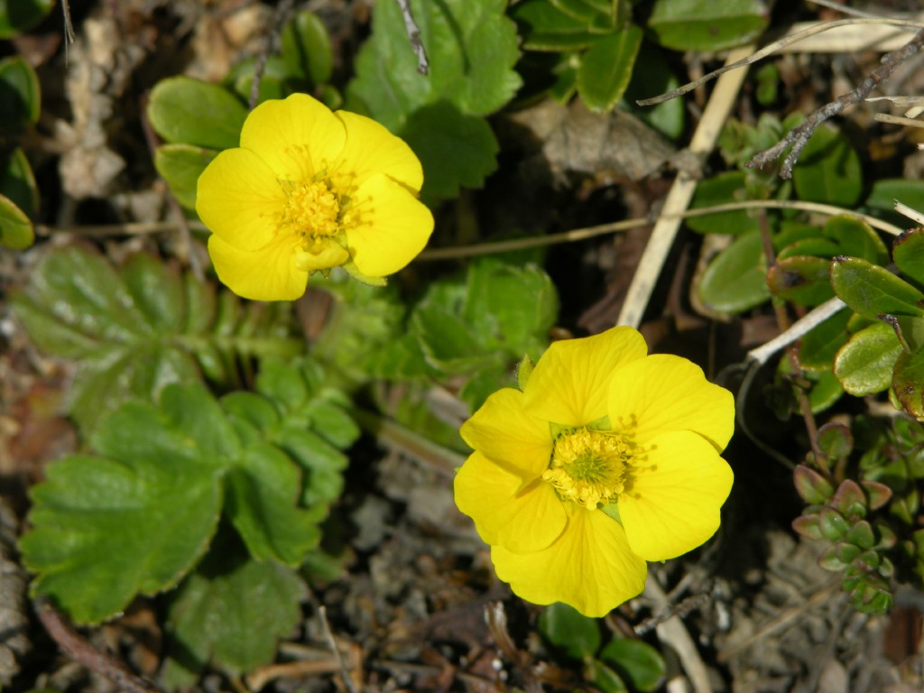 dscn1353.jpg