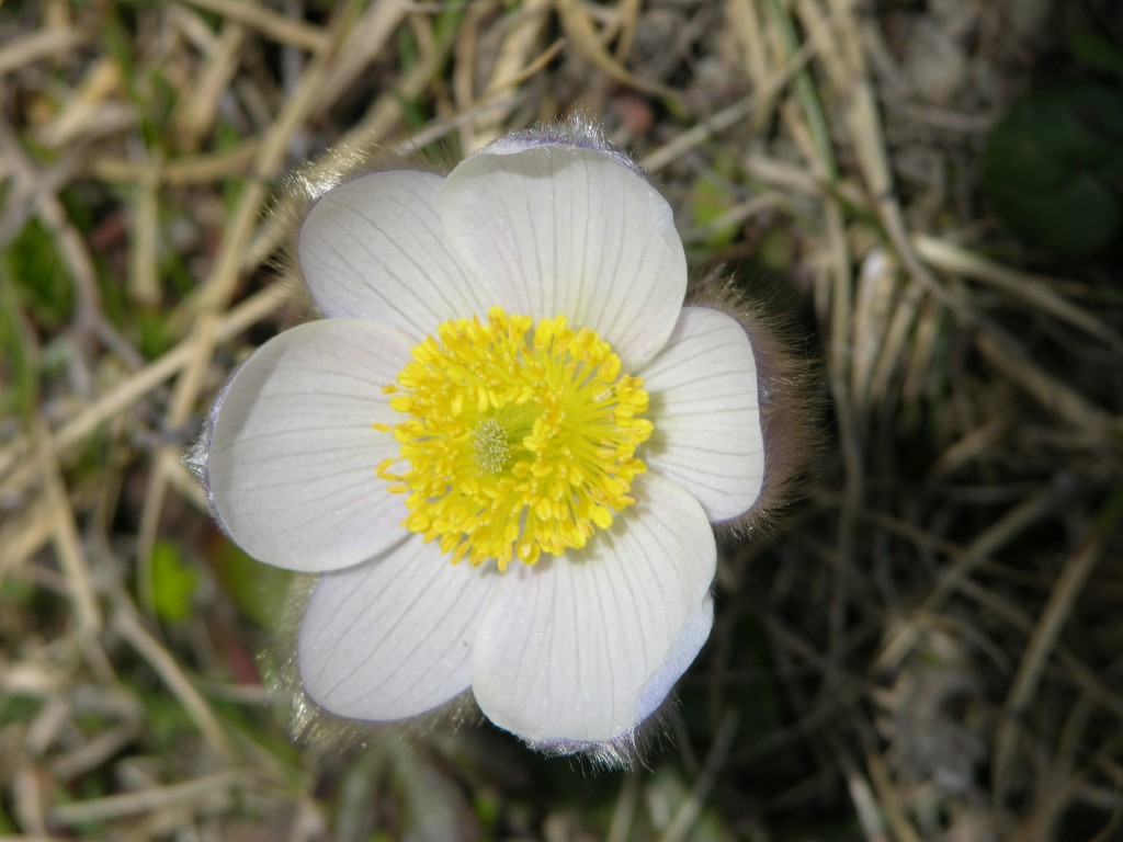 dscn1354.jpg