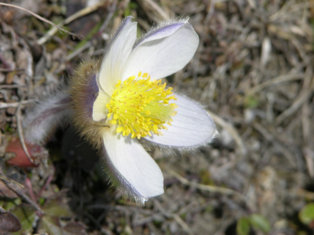 dscn1355.jpg