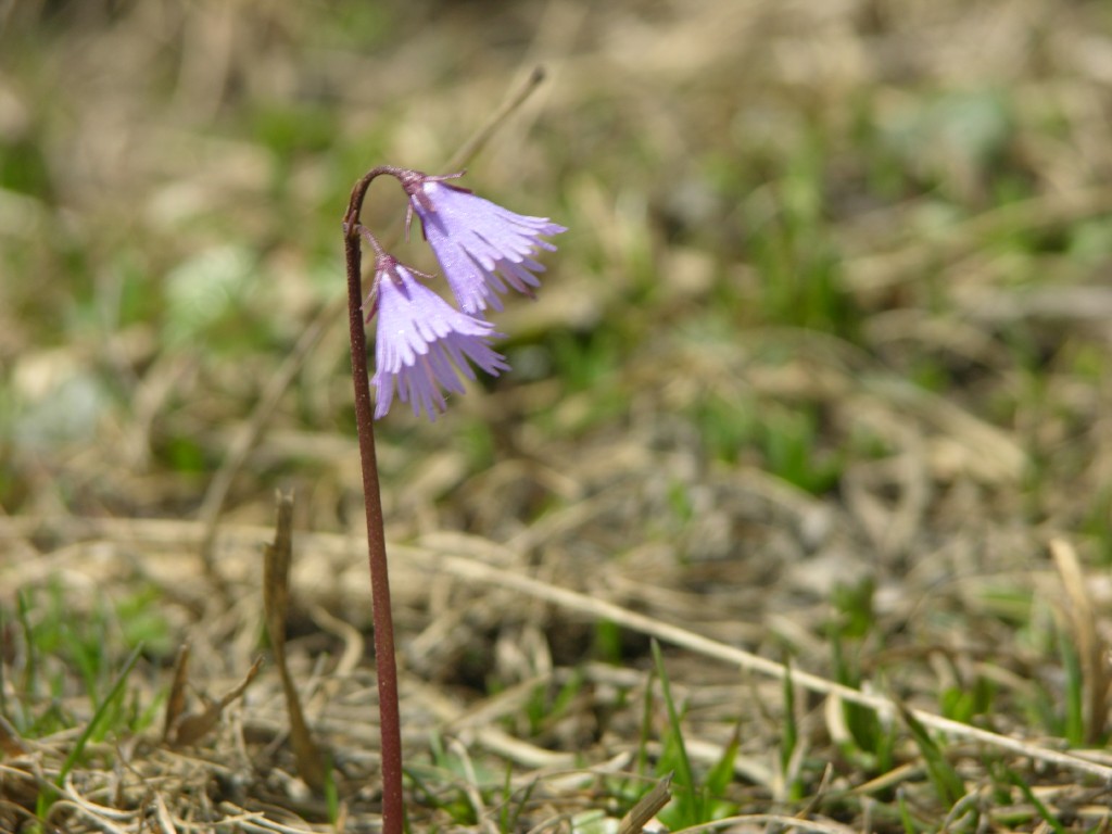 dscn1356.jpg