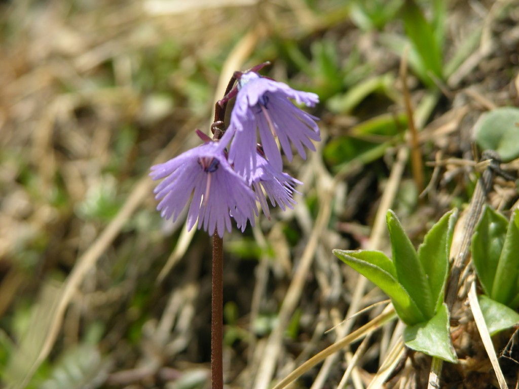 dscn1357.jpg