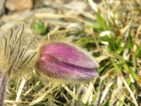 dscn1339.jpg