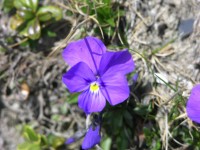 dscn1342.jpg