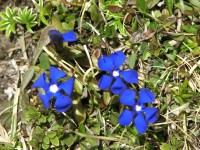 dscn1343.jpg