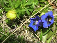 dscn1345.jpg