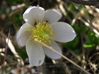 dscn1347.jpg