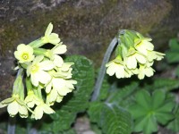 dscn1351.jpg