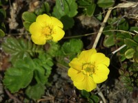 dscn1353.jpg