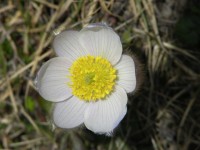 dscn1354.jpg