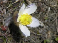 dscn1355.jpg