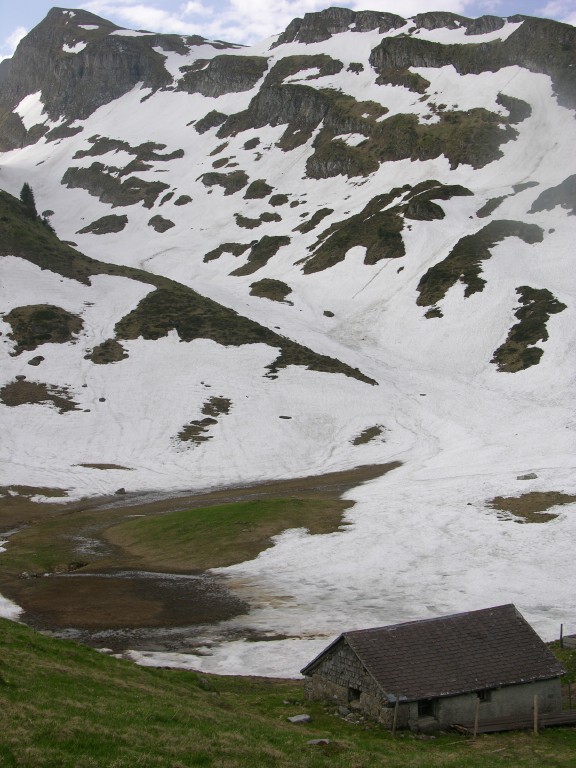 dscn4266.jpg