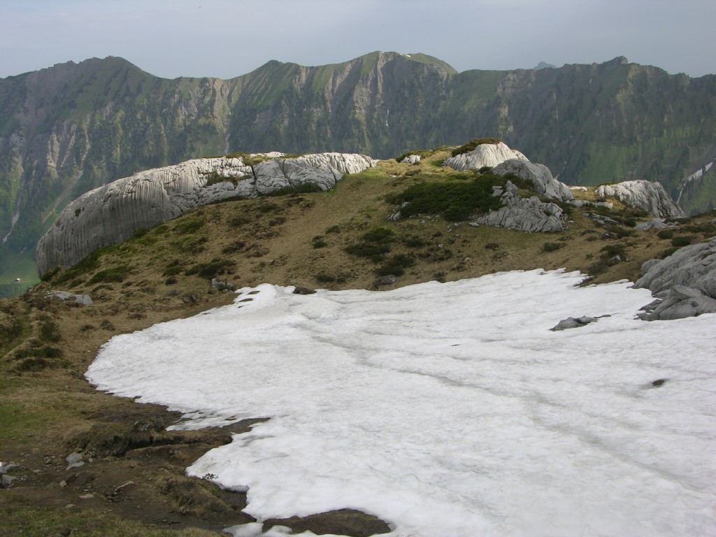 dscn4267.jpg