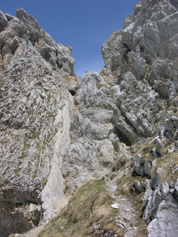 dscn4281.jpg