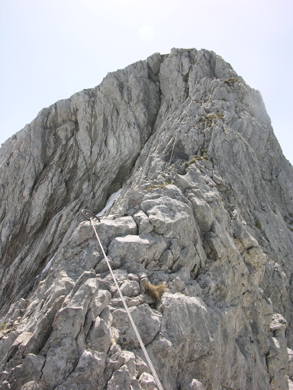 dscn4286.jpg