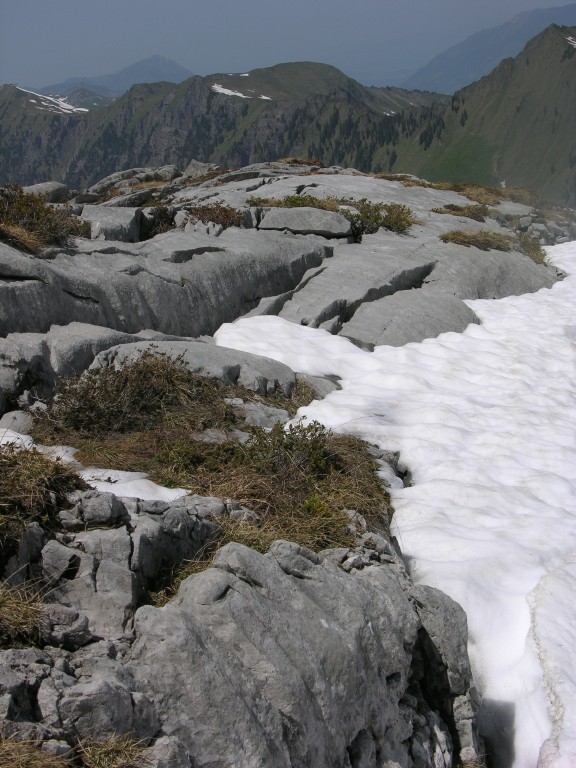 dscn4299.jpg