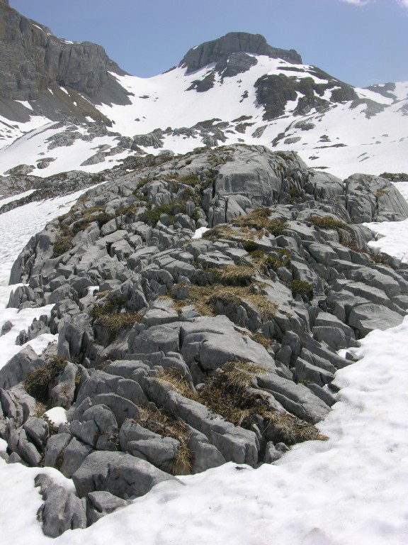 dscn4301.jpg