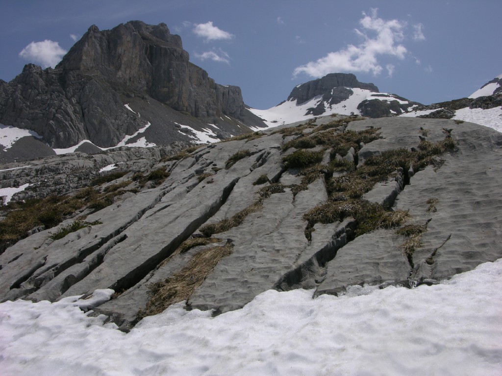 dscn4302.jpg