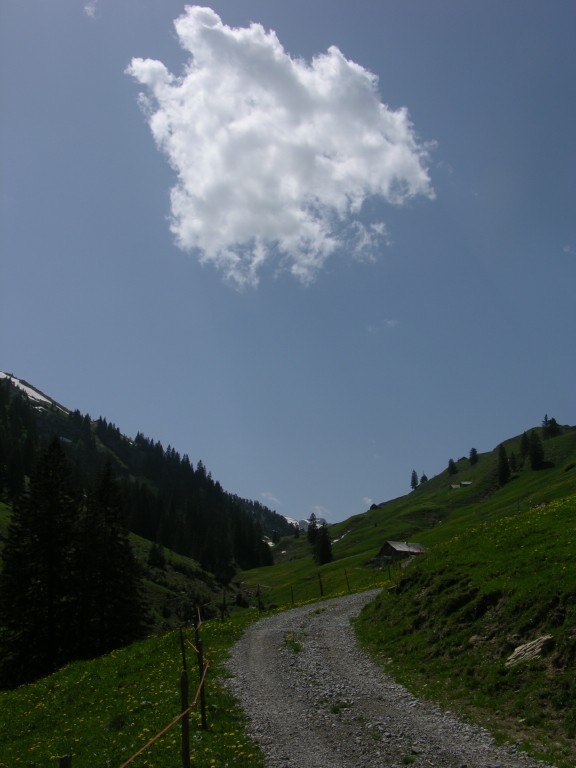 dscn4303.jpg