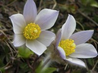 dscn4269.jpg