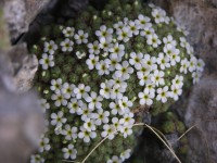 dscn4282.jpg