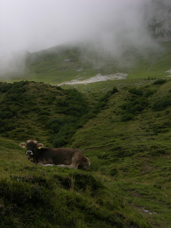 dscn4950.jpg