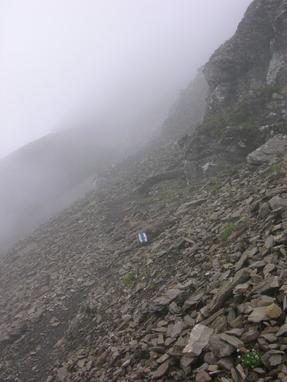 dscn4955.jpg