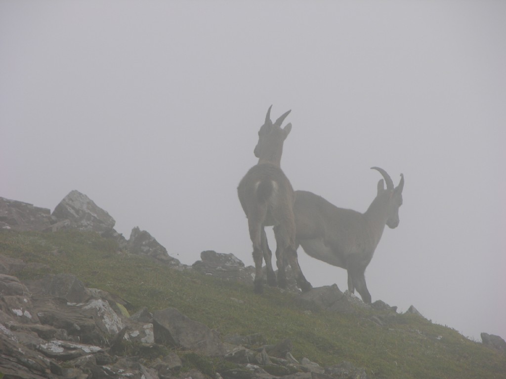 dscn4959.jpg