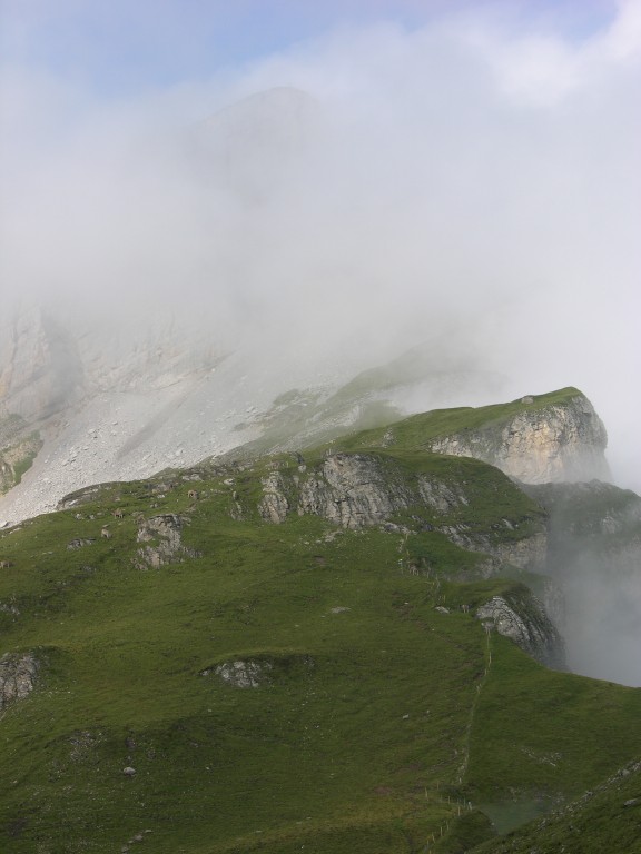 dscn4967.jpg