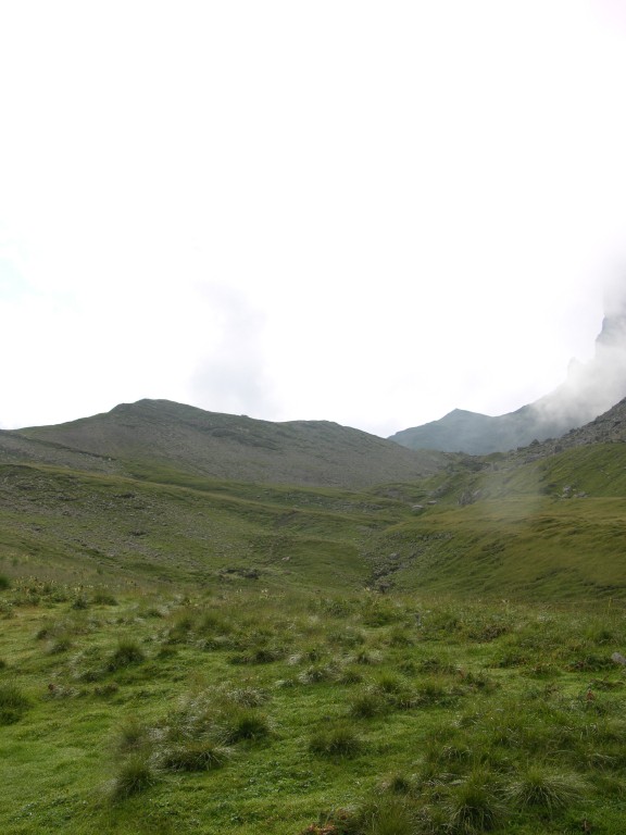 dscn4970.jpg