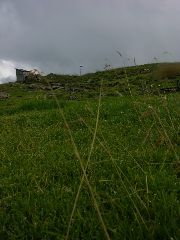 dscn4972.jpg